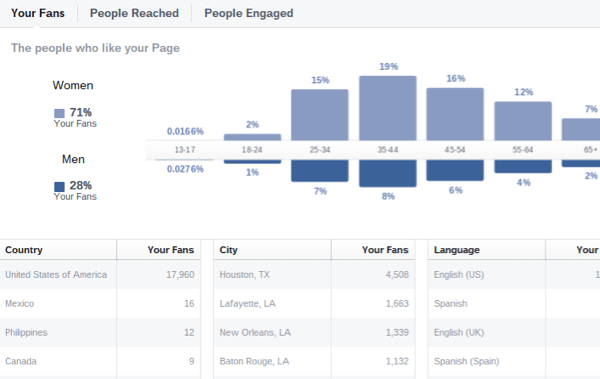 facebook innsikt publikum demografi