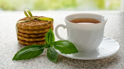 Hva er fordelene med basilikum? Hvor brukes basilikum? Hvordan lage basilika te?