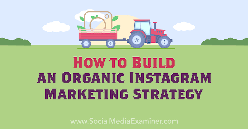 How to Build an Organic Instagram Marketing Strategy av Corinna Keefe på Social Media Examiner.