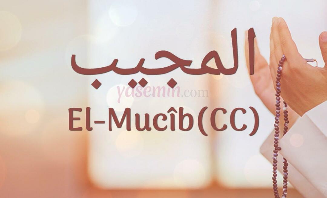 Hva betyr al-Mujib (c.c)? Hva er fordelene med navnet Al-Mujib? Esmaul Husna Al-Mujib...
