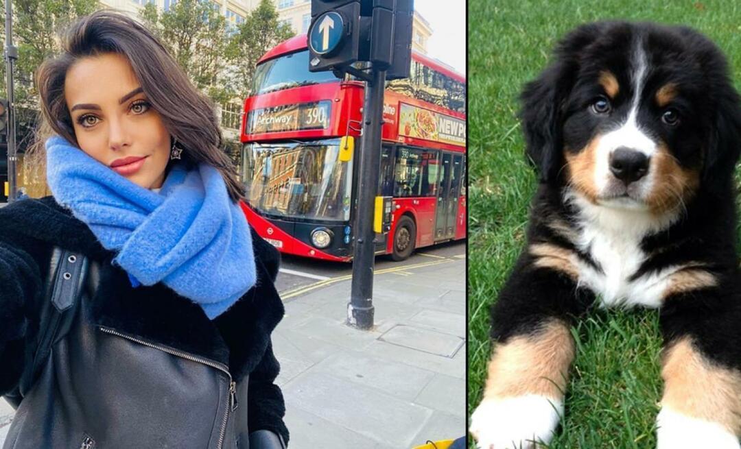 Skuespilleren Tuvana Türkay ga livet sitt for hunden sin!