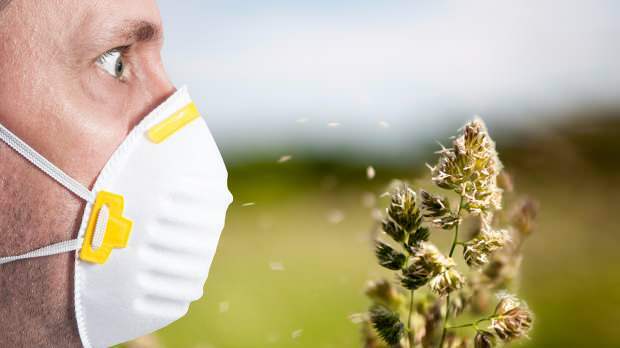 vårallergi er forårsaket av pollen, kjæledyr, økt temperatur og støv