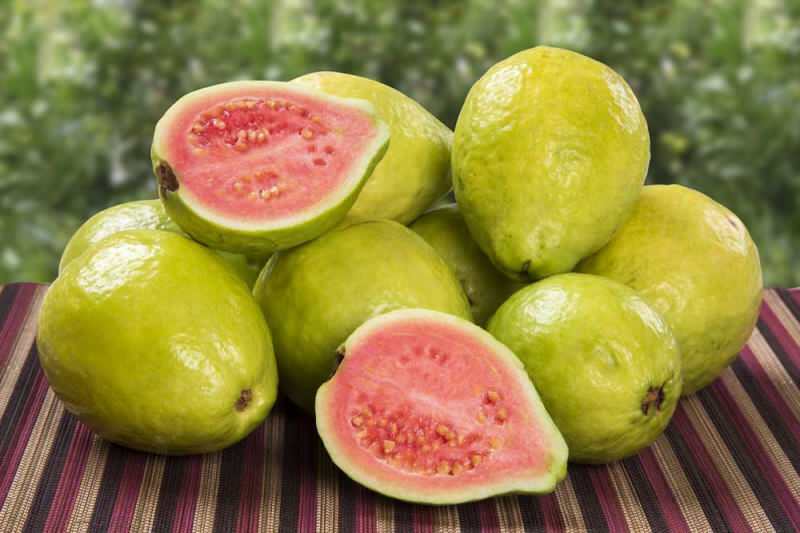 Hva er en guava frukt? Hvordan spise guava frukt og hva er fordelene med det?