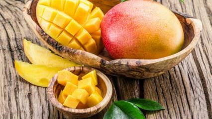 Hva er fordelene med Mango? Hvilke sykdommer er mango gode for? Hva skjer hvis du spiser vanlige mango?