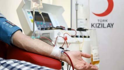 Hvor og hvordan gi blod? Hva er betingelsene for å donere blod