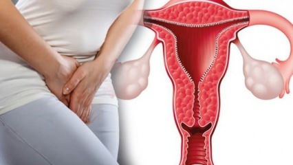 Hva er fortykkelse av livmorveggen? Hvor mye bør livmorens tykkelse være under graviditet?