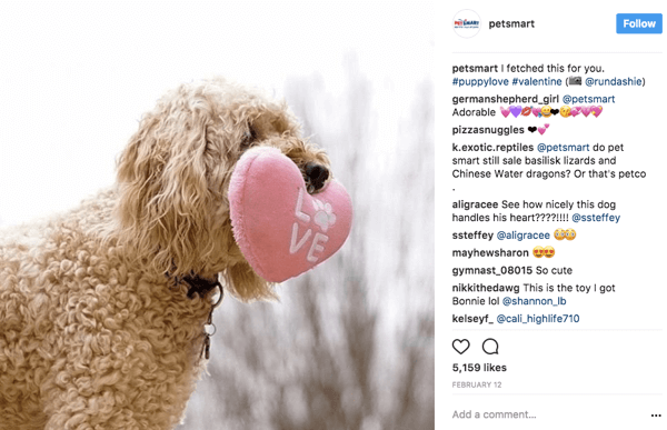 Når PetSmart videresender brukerbilder på Instagram, gir de fotokreditt til originalplakaten i bildeteksten.