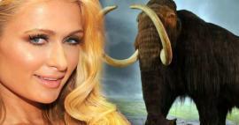 Paris Hilton investerte pengene sine i mammuter! 