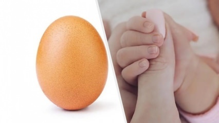 Et rekordstort egg med 28 millioner likes