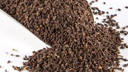 Hva er fordelene med Uzerlik frø? Hvordan lage frø av Üzerlik te?