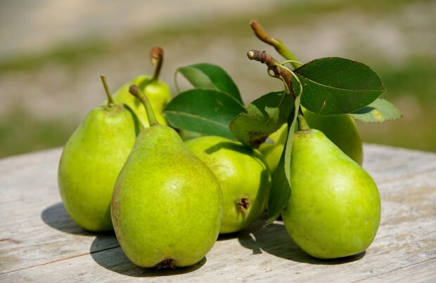 Forhindrer irritasjon: Hva er fordelene med pære? Hvor mange pærer er det? Hva er pære bra for?