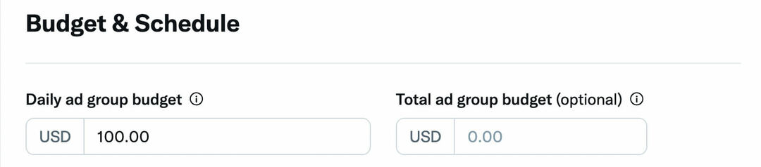how-to-scale-twitter-ads-crease-the-ad-group-budget-paid-campaign-advertising-budget-and-schedule-example-2