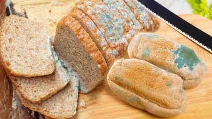 Hvordan forhindre støping av brød i Ramadan? Måter å forhindre at brød blir gammelt og mugnet