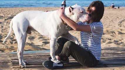 Den unge skuespilleren Alina Boz tok farvel med sin døde hund! Hvem er Alina Boz?