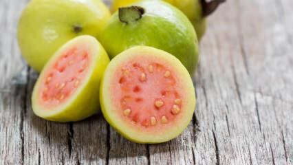Hva er Guava-frukt? Hva er fordelene?