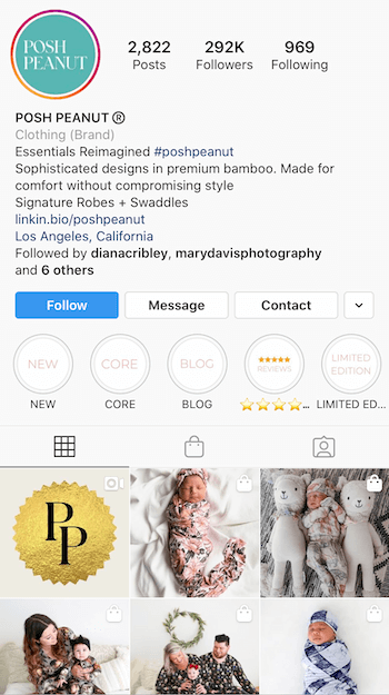 eksempel på Instagram-bio optimalisert for virksomheten