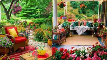 Blomster som du kan bruke i hagen og balkongene om høsten!