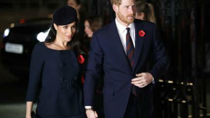 Prins Harry har sølt ut! 'Det kongelige livet er som en dyrehage'