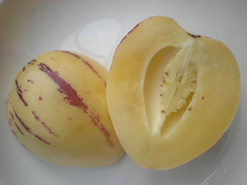 pepino frukt er skivet som en melon som et bilde