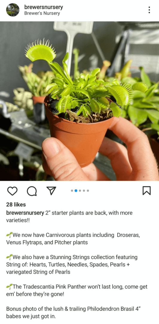 bilde av Instagram-feedinnlegg som viser et produkt