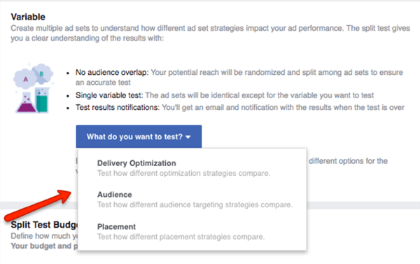 Velg hvilken variabel du vil teste i Facebook-kampanjen.