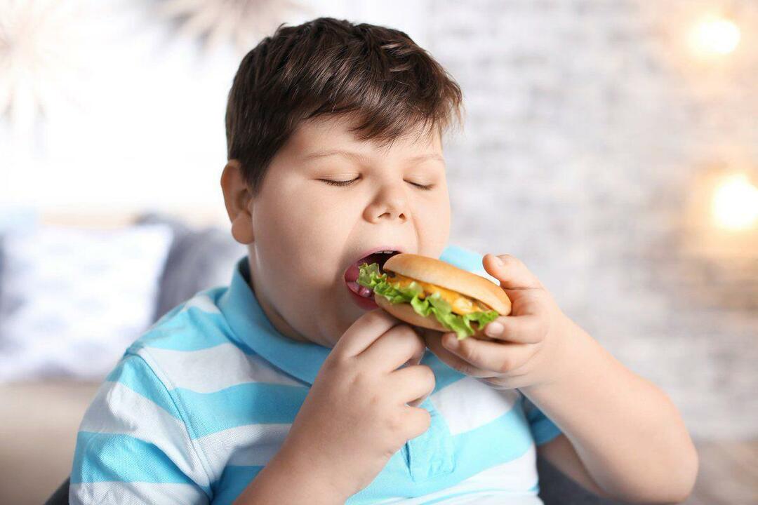 Hva er fedme hos barn