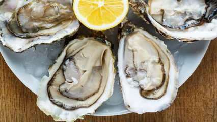 Hva er østers og hvordan rengjøres østers? Hvordan spise østers og hva er fordelene med?
