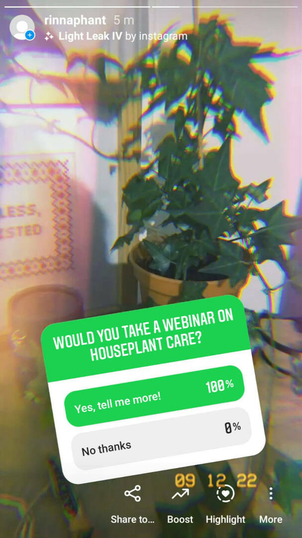 hvordan-selge-på-instagram-identifisere-leads-and-seed-your-offer-rinnaphant-story-poll-example-2