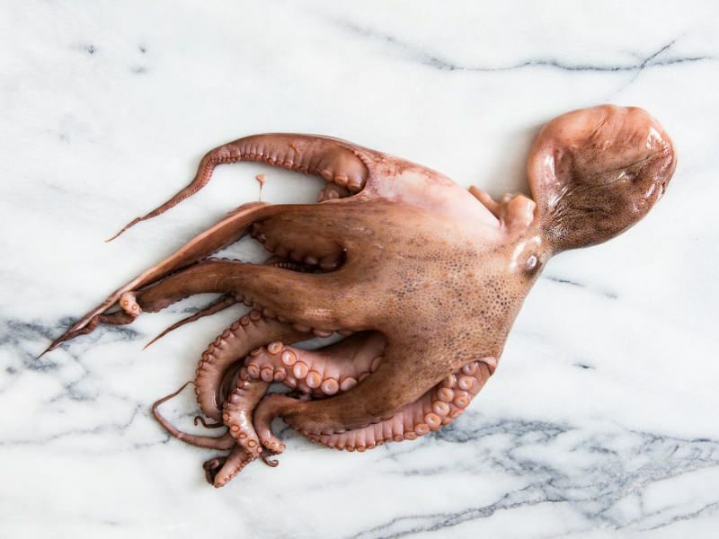 Hvordan rengjøre og koke blekksprut hjemme? Den enkleste blekksprutsteknikken for matlaging