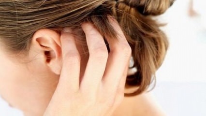 Hvordan rengjør lus fra håret?