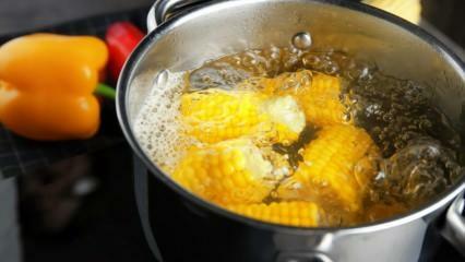 Hvordan lage den enkleste kokte maisen? Sorteringsmetoder for kokt mais