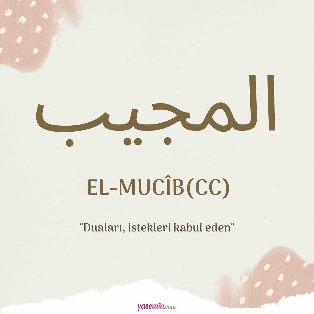 Hva betyr al-Mujib (cc)?