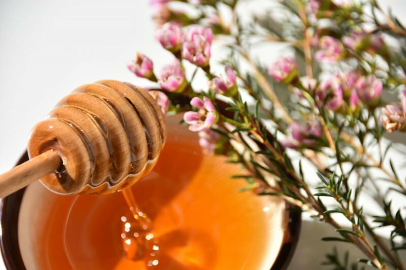 manuka honning laget av manuka blomst