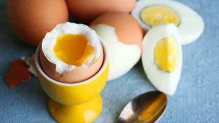 Hva er effekten av å spise 2 egg i sahur hver dag på kroppen?