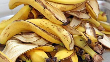 Hva er fordelene med banan? Hvor mange bananer er det? Ukjent bruk av bananskall! 