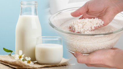 Hvordan tilbereder jeg fettforbrenning av rismelk? Slankemetode med rismelk