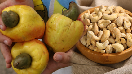 Hva er fordelene med cashewnøtt? Ting å vite om cashewnøtter, som påvirker øyehelsen positivt ...