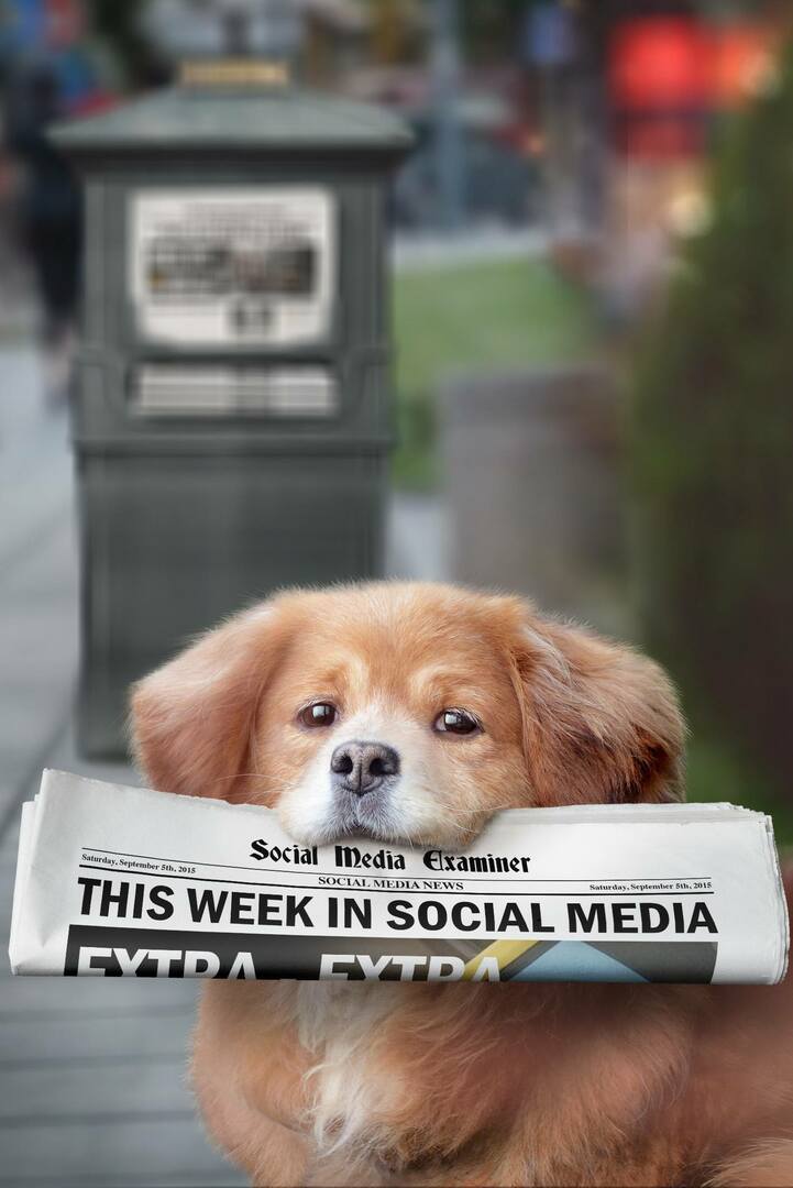 sosiale medier sensor ukentlige nyheter 5. september 2015