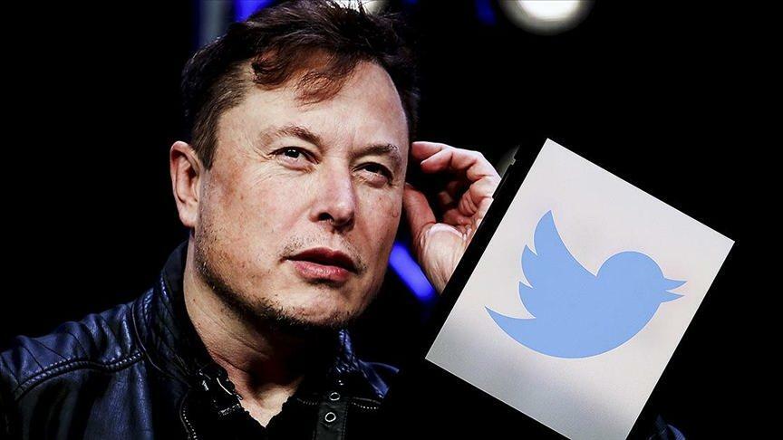 Elon Musk og Tracy Hawkins kranglet på sosiale medier 