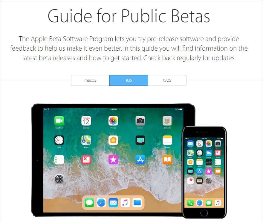 Apple Guide for Public Beta