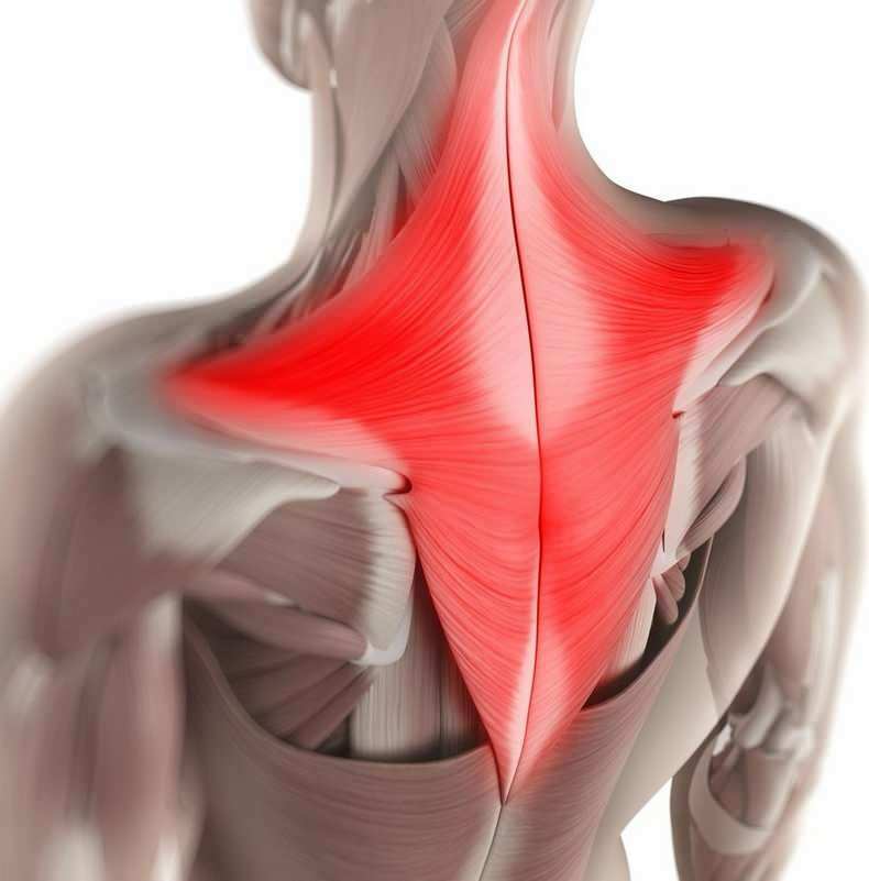 I løpet av dagen kan ubevisst musklene i nakkeområdet trekkes i gale sittestillinger. 