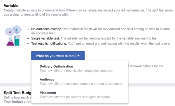 Velg variabelen du vil teste med Facebook-annonsen din.