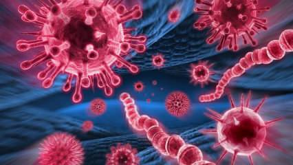 Hva er Mers-viruset? Hva er symptomene på Mers-viruset? Hvordan overføres Mers-viruset?