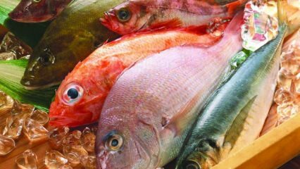Hva er fordelene med fisk? Hvordan konsumere den sunneste fisken?