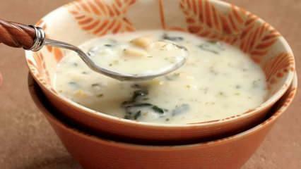 Hva er dovga suppe og hvordan lage dovga suppe? Dovga suppe oppskrift hjemme