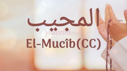 Hva betyr al-Mujib (c.c)? Hva er fordelene med navnet Al-Mujib? Esmaul Husna Al-Mujib...