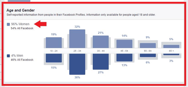 Analyser Audience Insights-dataene for målgruppen din.