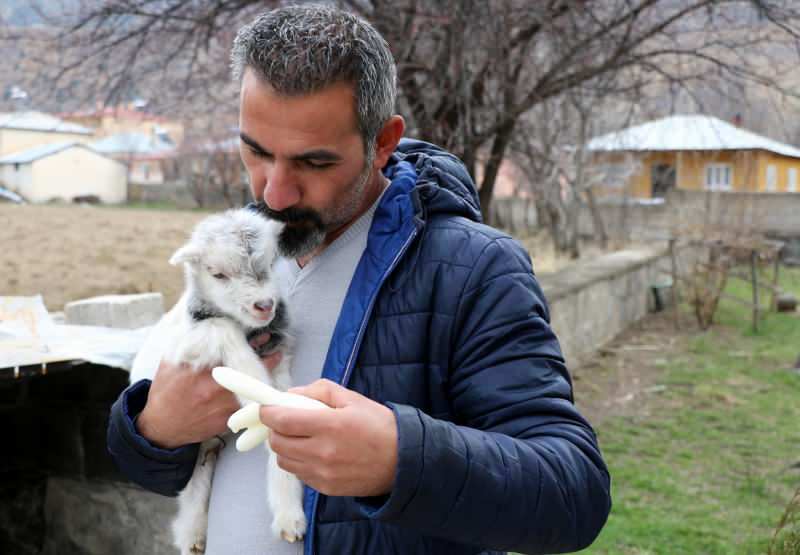 Murat Aydemir reddet livet til geitekuben