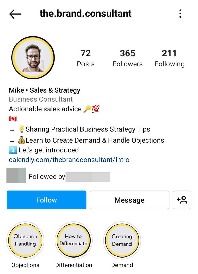 instagram-bio-the.brand_.consultant-serviceprovider-example