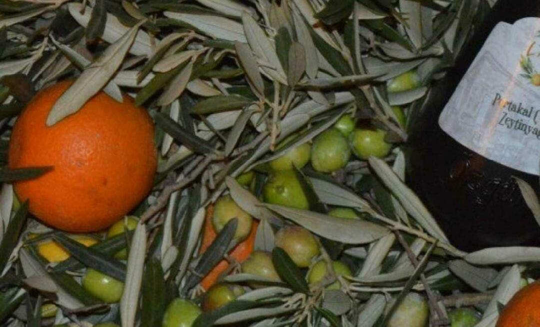 Kvinnelige gründere fra Balıkesir produserte oransje olivenolje!